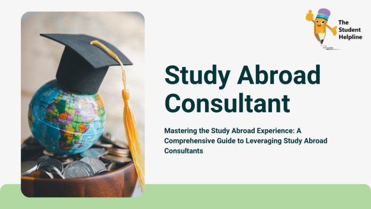 Mastering the Study Abroad Experience: A Comprehensive Guide to Leveraging Study Abroad Consultants