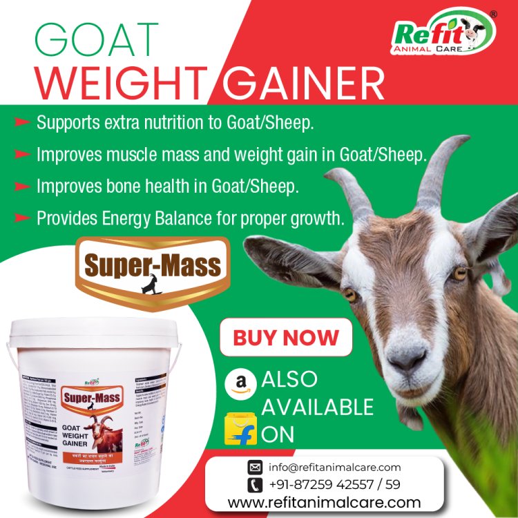 Super Mass Goat Weight Gain Supplement