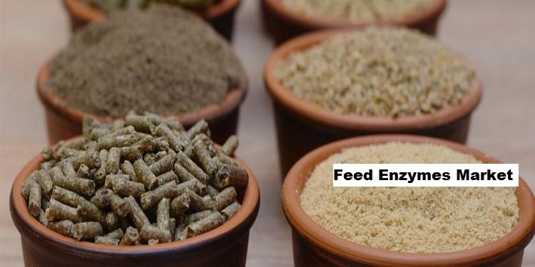 Feed Enzymes Market to be Dominated by Compound Feed Production