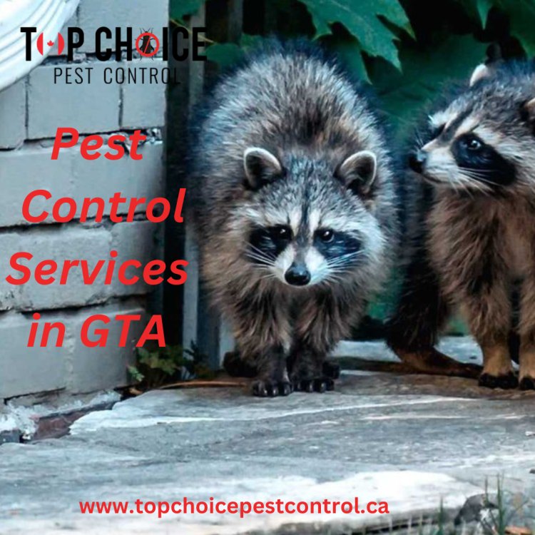 Pest Control Solutions in the Greater Toronto Area