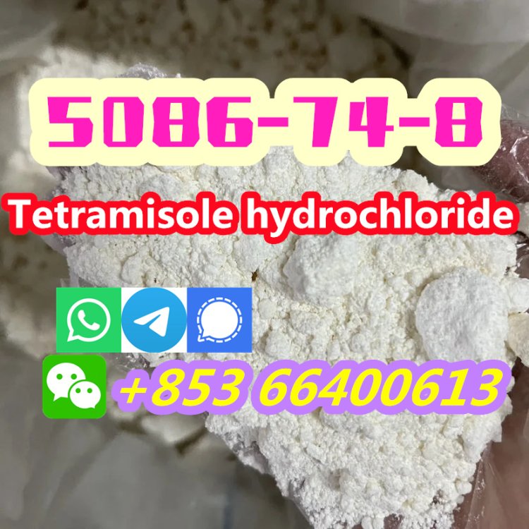 Manufacturers Direct 99% Pure CAS 5086-74-8 Tetramisole hydrochloride