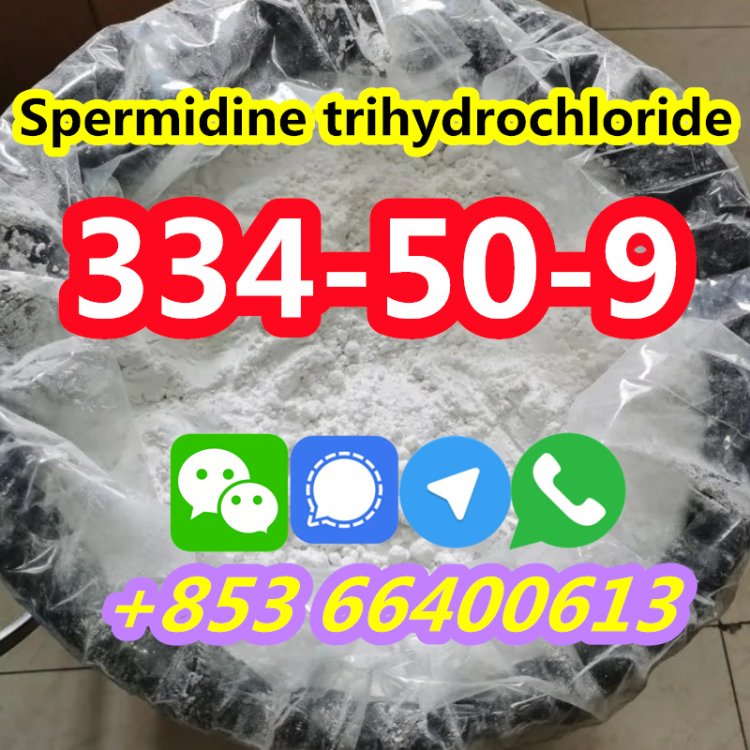 Good Quality Best Price CAS 334-50-9 Safety shipping Spermidine trihydrochloride