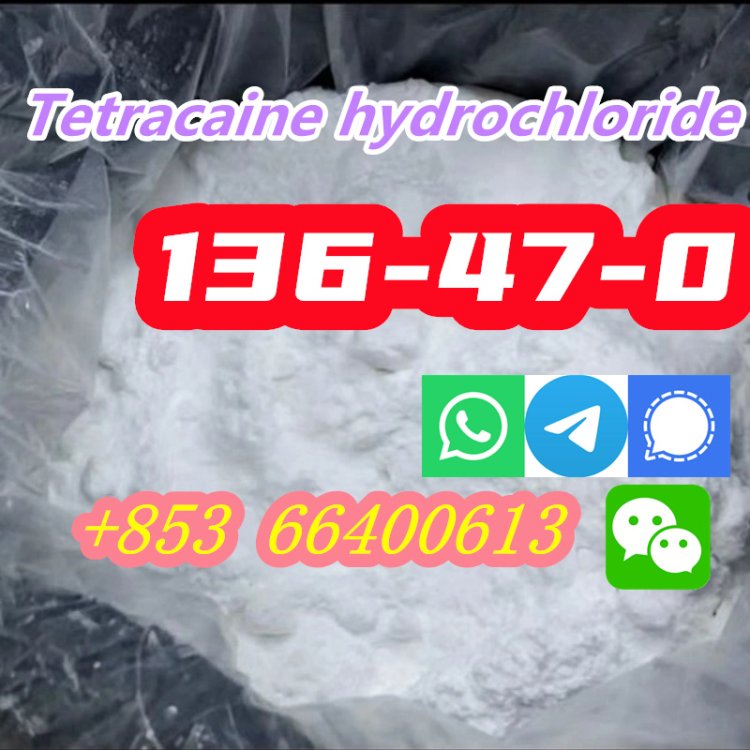 Hot Selling High Purity 99% CAS 136-47-0 Tetracaine hydrochloride