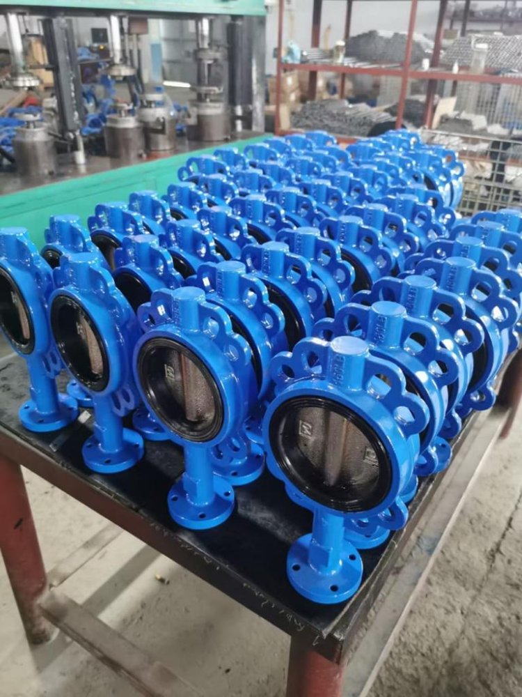 Butterfly Valve Manufacturer in India