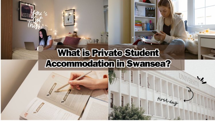 What is Private Student Accommodation in Swansea? Why It's Worth Considering?