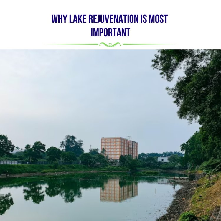 Why Lake Rejunevation is Most Important  