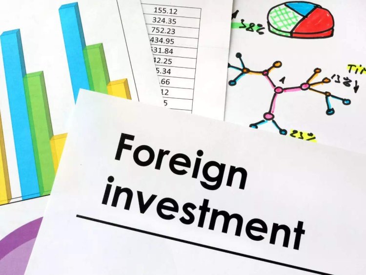 What are the benefits of foreign portfolio investment to an investor?