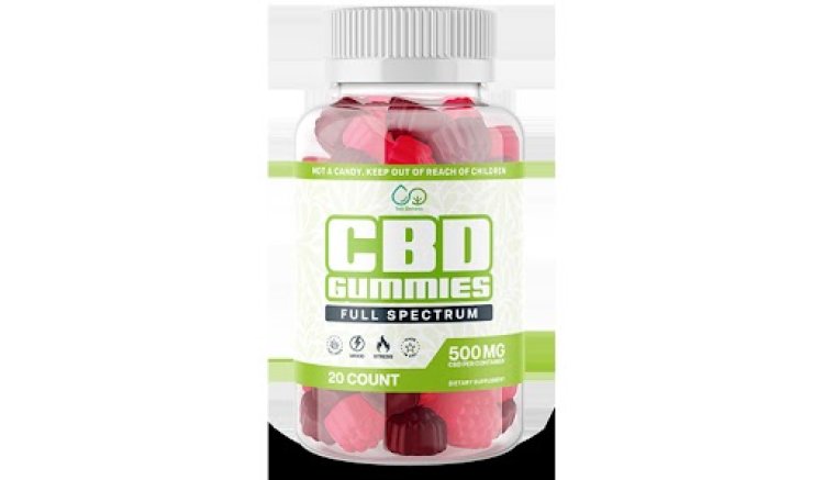 Bloom CBD Gummies – (FAKE Hype Exposed) Must Read!