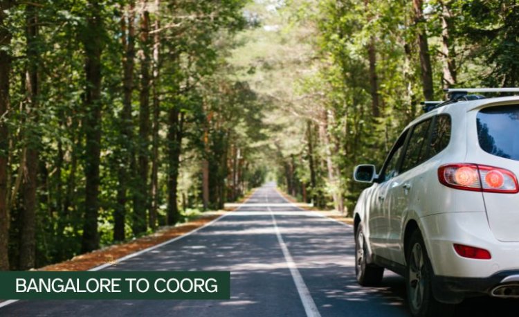 A fascinating road trip from Bangalore to Coorg