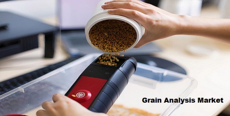 Grain Analysis Market Outlook: Size, Share, and Forecast | TechSci Research