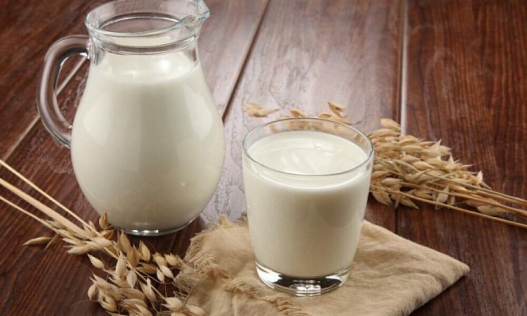 Ahmedabad's Finest Gir Cow Milk: Pure, Nutritious, and Delivered Fresh
