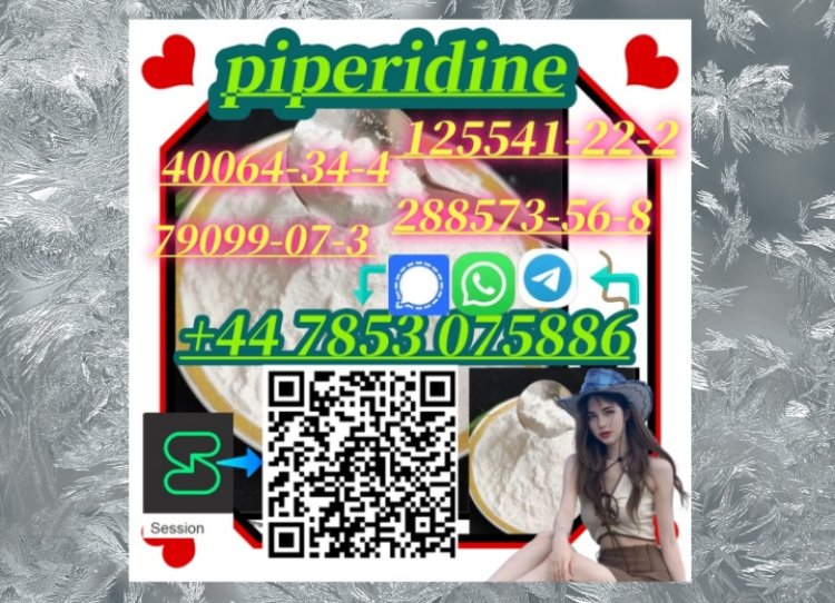 Spot goods piperidine CAS:79099-07-3 / 288573-56-8 / 125541-22-2 /40064-34-4