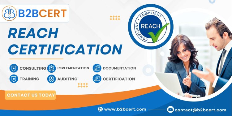 Understanding REACH Compliance in the Egyptian Market: Certification Processes and Requirements