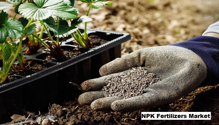 NPK Fertilizers Market Potential: Size, Share, Trends, Growth And Forecast