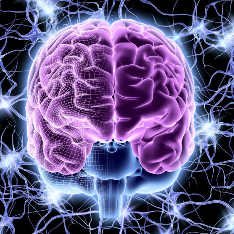 Neuro Lift Trial: Opening Doors to Enhanced Brain Functionality!