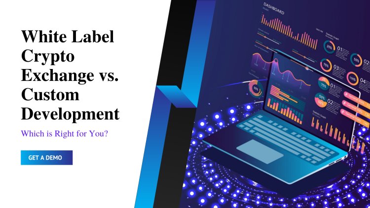 White Label Crypto Exchange vs. Custom Development: Which is Right for You?