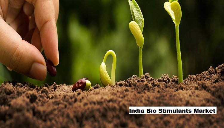 Assessing India Bio Stimulants Market: Size, Share, Trends, Growth And Forecast