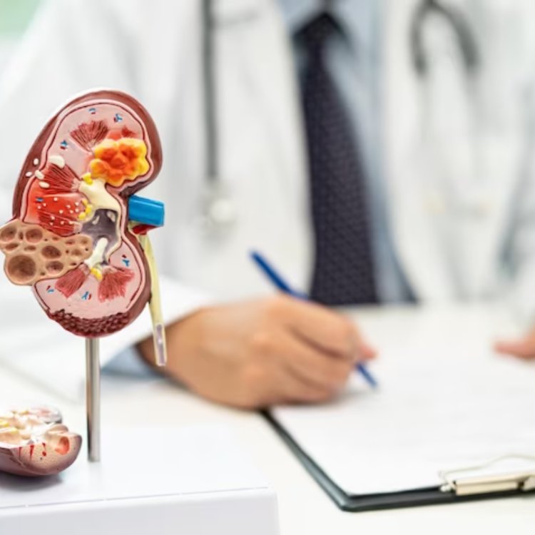 When to See a Urologist for Kidney Stone Treatment