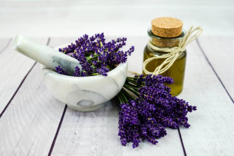 Lavender Oil Applying Tips and Its Price in Pakistan