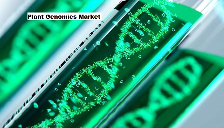 Plant Genomics Market: Sustainable Growth Forecasted at 8.26% CAGR By 2028