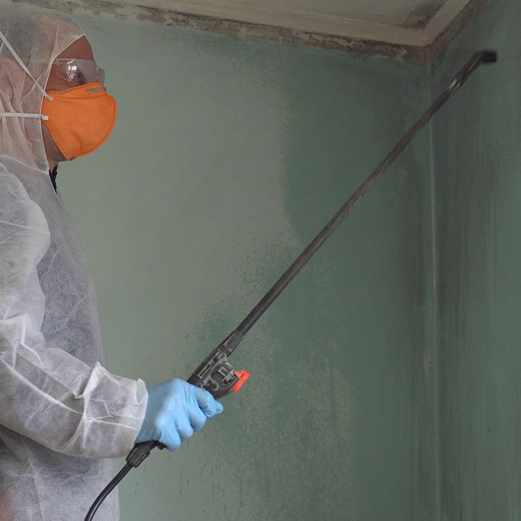 How Mold detection and removal save your indoor air quality