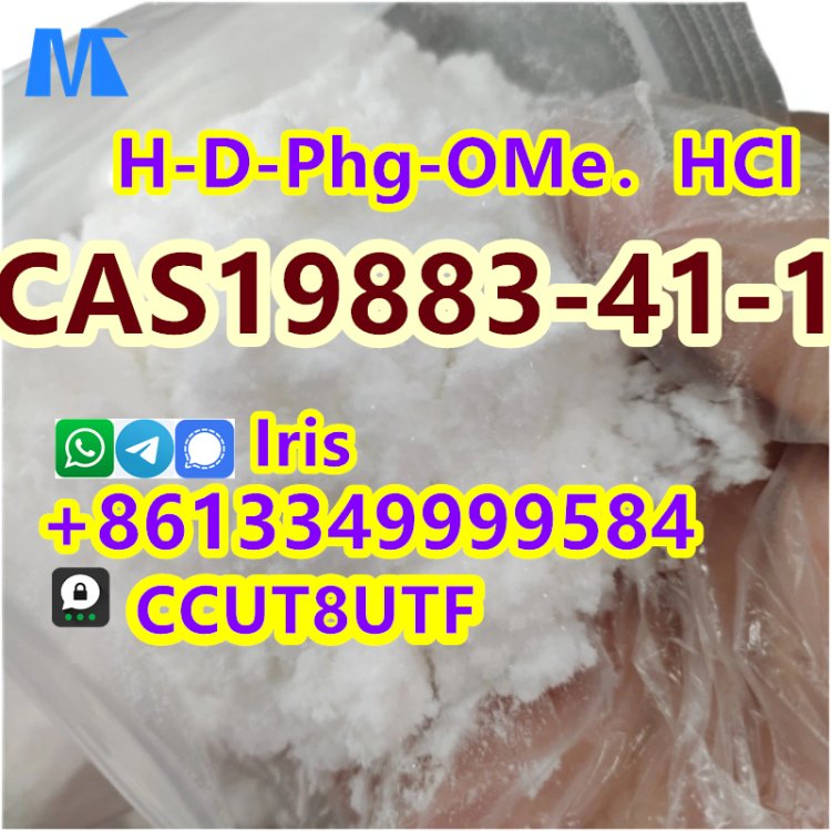 Cas 19883-41-1 H-D-Phg-OMe．HCl powder with high purity