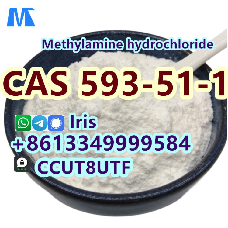 High Concentrations Methylamine hydrochloride Cas 593-51-1