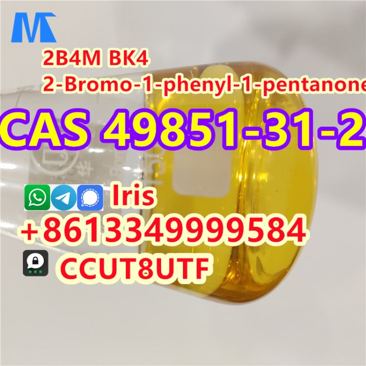 High Quality 2-Bromo-1-phenyl-1-pentanone Cas 49851-31-2