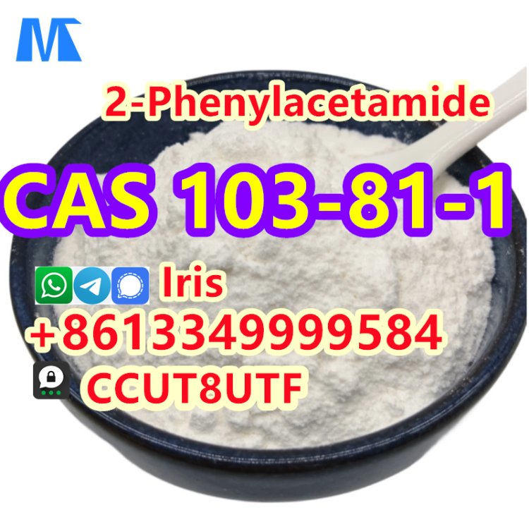 High Quality 2-Phenylacetamide CAS 103-81-1 with Best Price