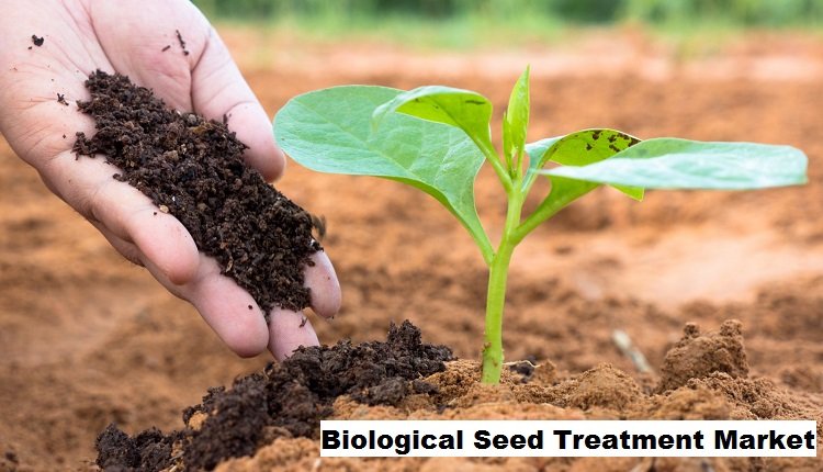 Biological Seed Treatment Market Trends: Envisioning 8.78% CAGR Growth by 2028