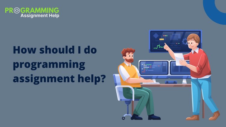 How should I do programming assignment help?