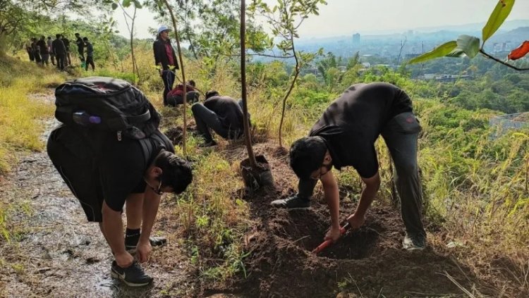 Grow Green: Donate to Plant Trees Today