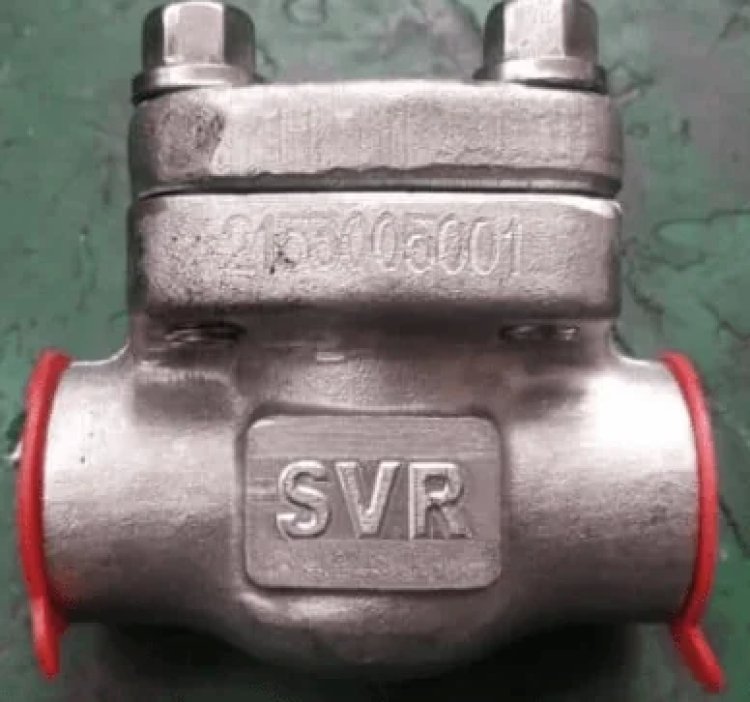 Check Valve Manufacturers in USA