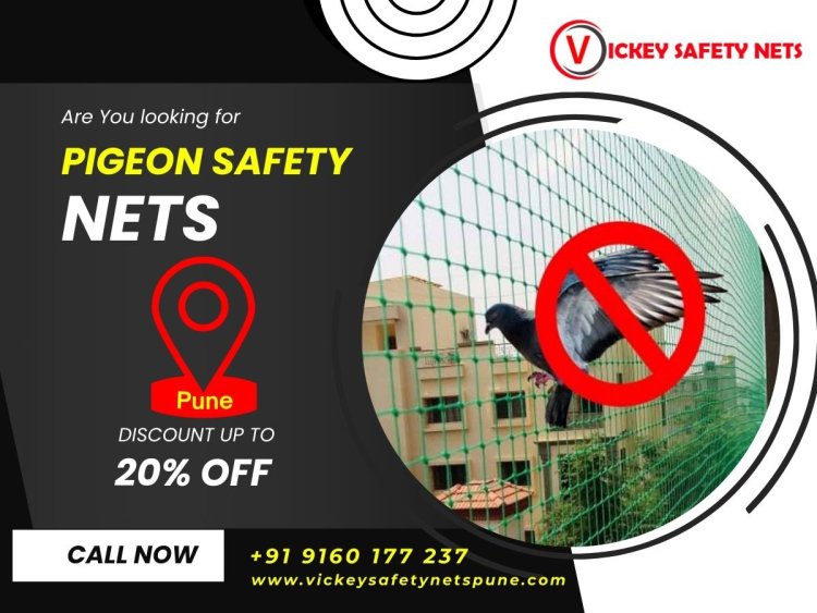Protect Your Property with Vickey Safety Nets: The Ultimate Pigeon Safety Nets in Pune
