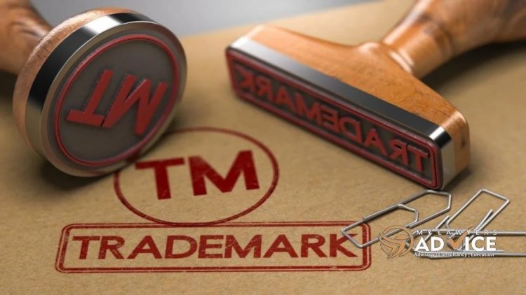 Case Study: Legal Importance of Conducting Trademark Search