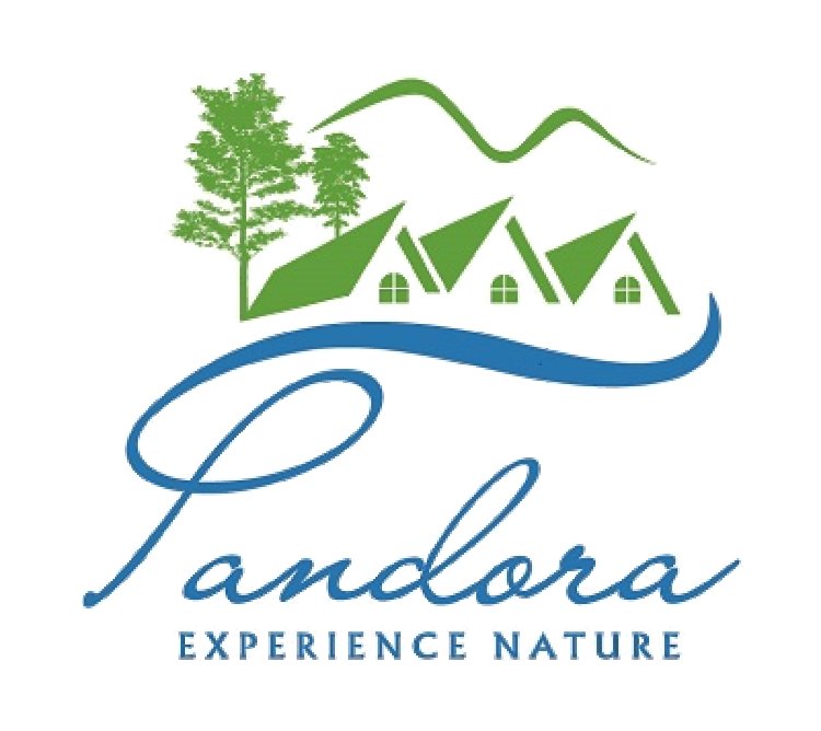 Affordable Rooms Under 5000rs in Ooty | Pandora Hill Resort