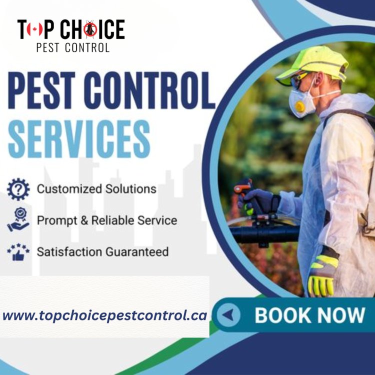 What sets apart the premiere ant pest control services?