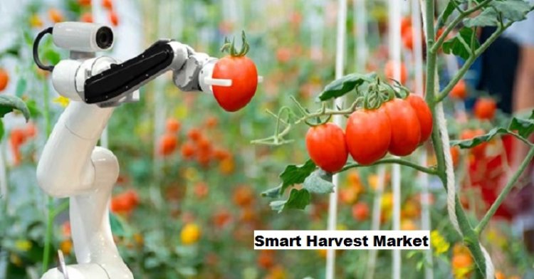 Smart Harvest Market Trends: IoT Integration Redefining Agricultural Operations