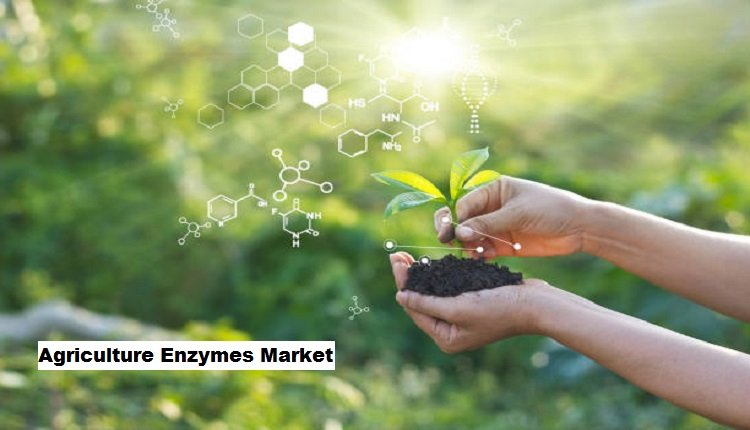 Agriculture Enzymes Market Ready to Benefit from Vertical Farming and Indoor Gardening Trend