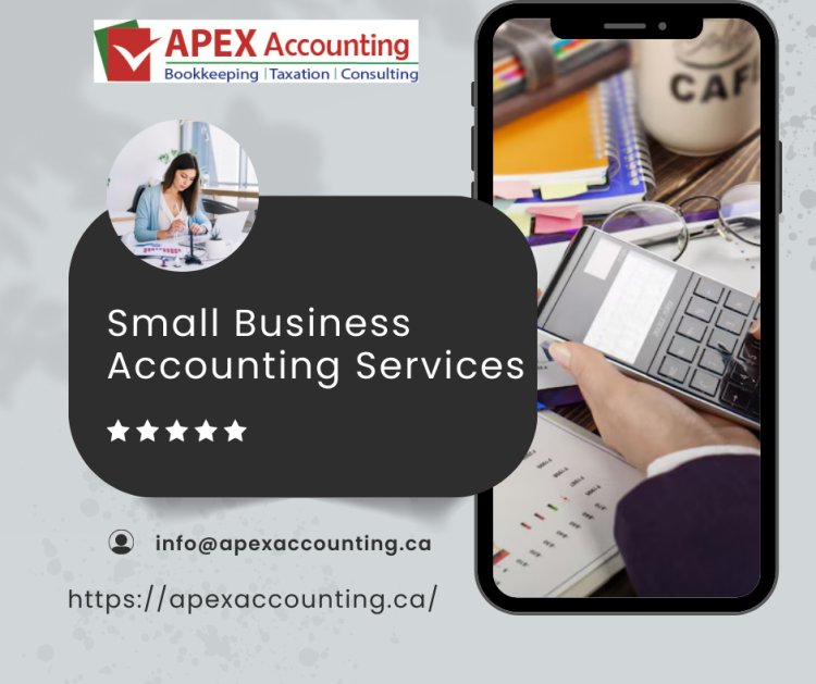 The Role of Accounting Firms in Toronto for Small Business Accounting Services