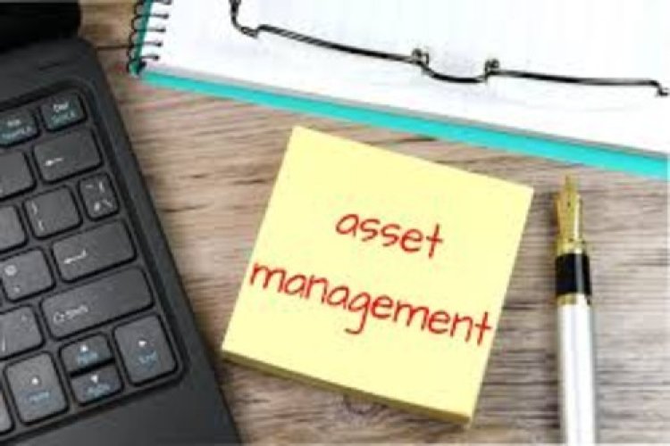 What Does an Asset Management Company in Mumbai Do?