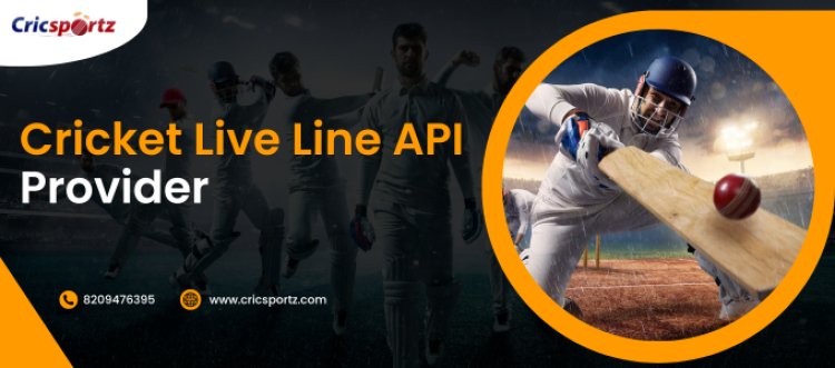 Unlocking Cricket Insights: Your Go-To Cricket Apps Data Provider