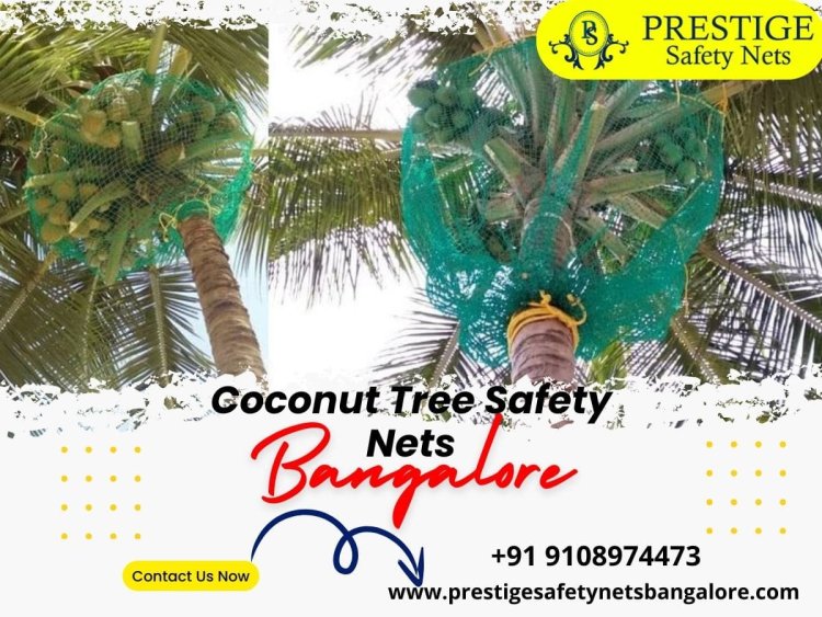 Coconut Tree Safety Nets in Bangalore - Prestige Safety Nets