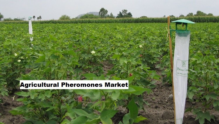 IoT and AI Reshape Pest Management, Driving Agricultural Pheromones Market Growth