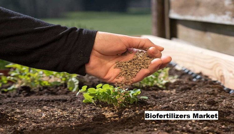 Biofertilizers Market Surges on Back of Increasing Organic Crop Area