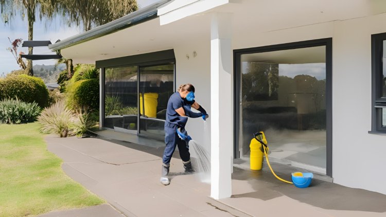 Streamline Your Search: Finding the Perfect House Washing Service in Hamilton