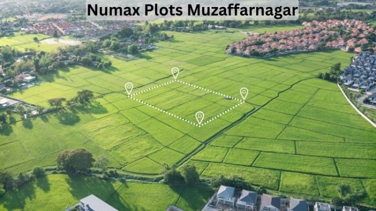 Numax Plots Muzaffarnagar: Sustainable Living's Future Unlocking
