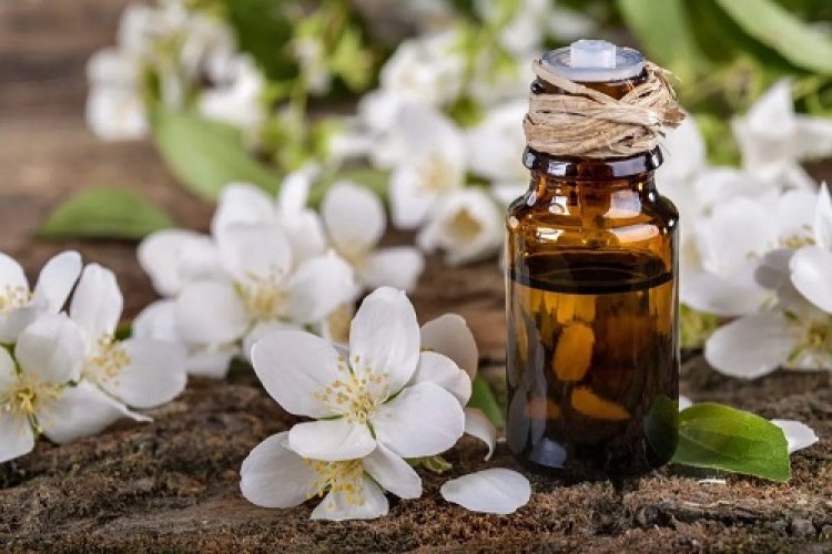 Uses And Benefits Of Six Flower Oil In Beauty And Personal Care Routines