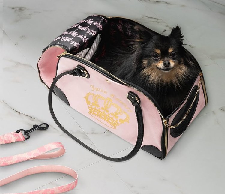 Cat Bag Couture: Where Feline Meets Fashion