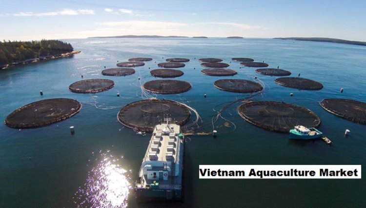 Vietnam Aquaculture Market: 6.82% CAGR Growth Anticipated by 2028